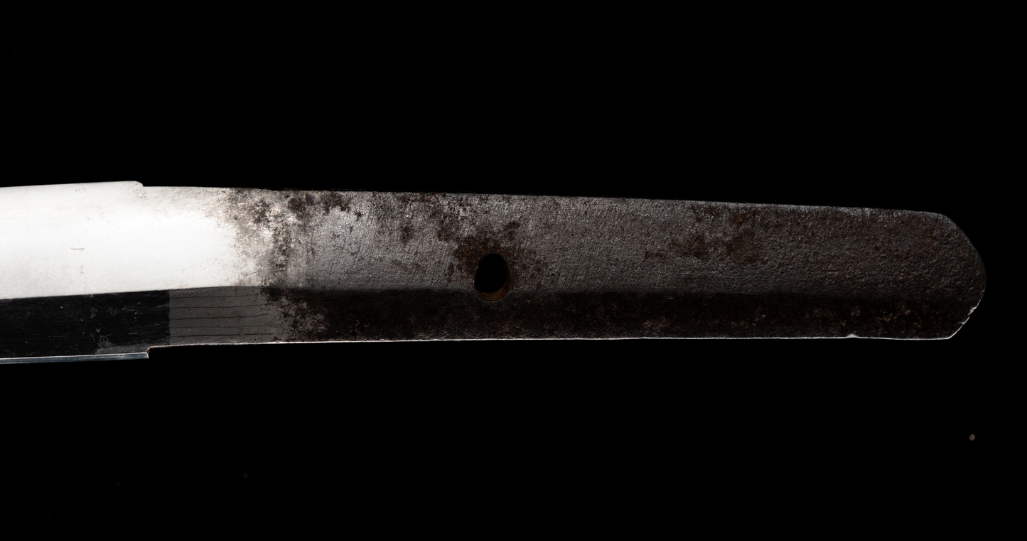 Antique Japanese Sword Wakizashi by Osafune Sukesada with Lion Motif Koshirae - NBTHK Hozon