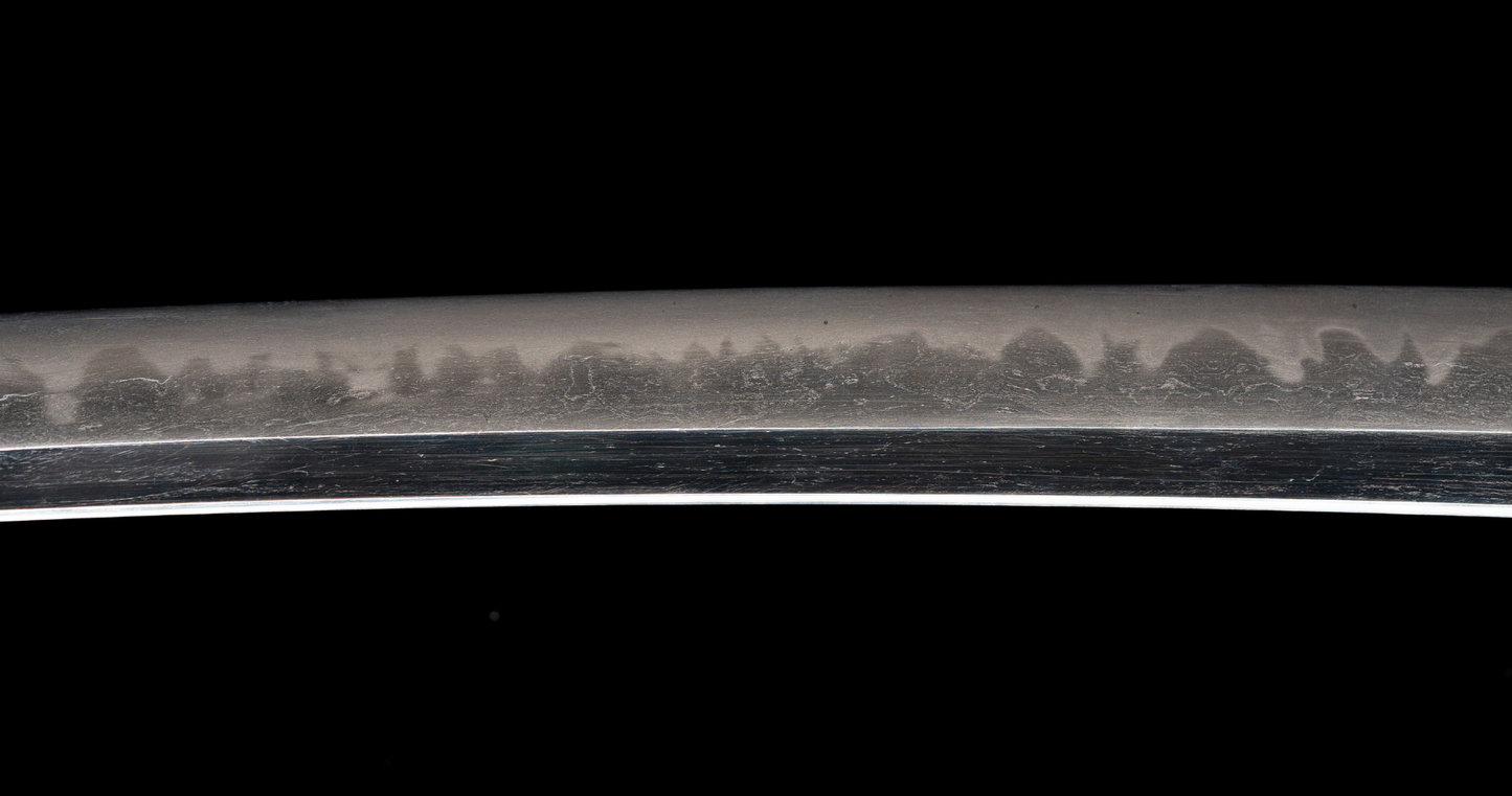 Antique Japanese Sword Wakizashi by Osafune Sukesada with Lion Motif Koshirae - NBTHK Hozon