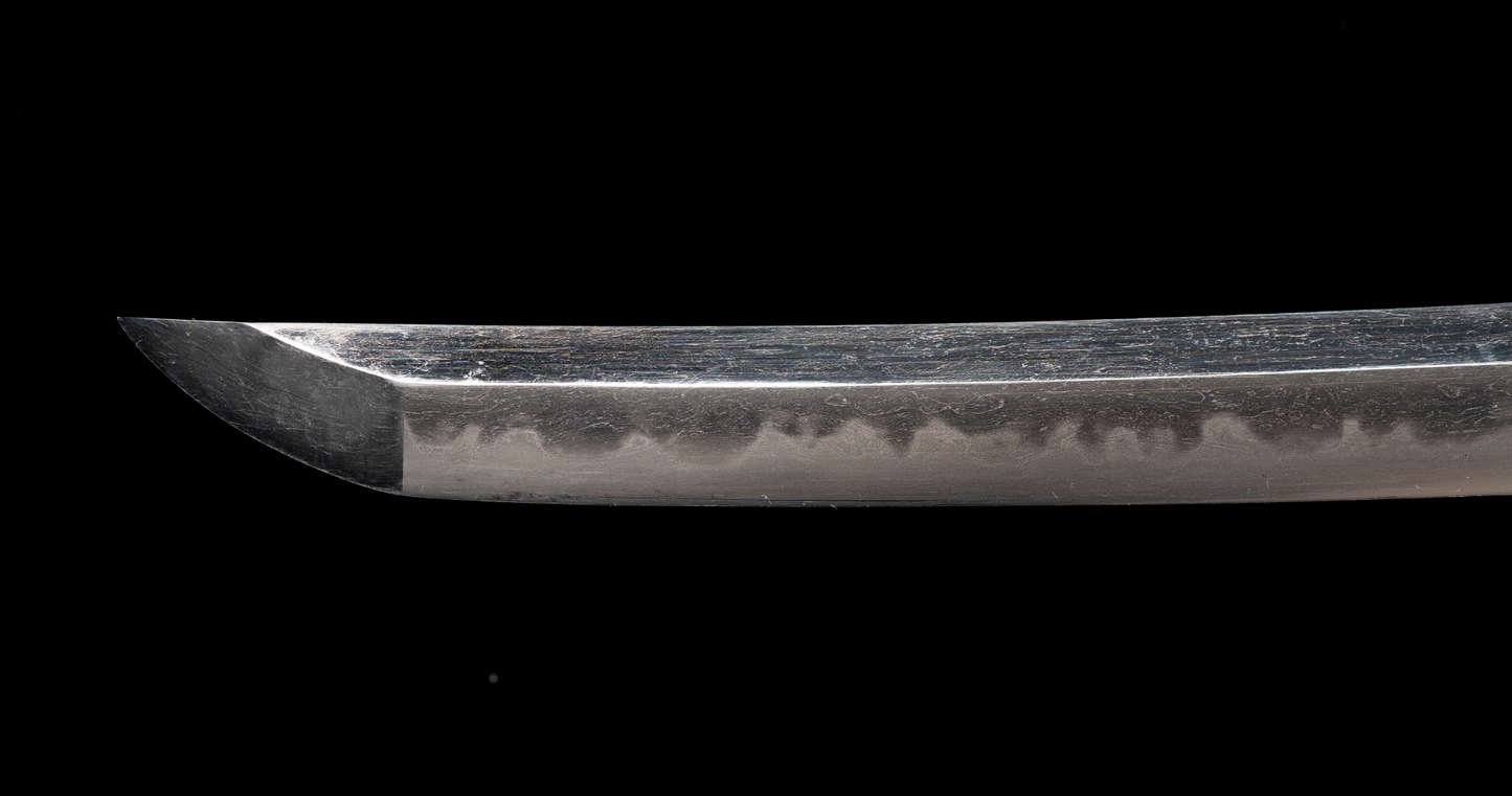 Antique Japanese Sword Wakizashi by Osafune Sukesada with Lion Motif Koshirae - NBTHK Hozon