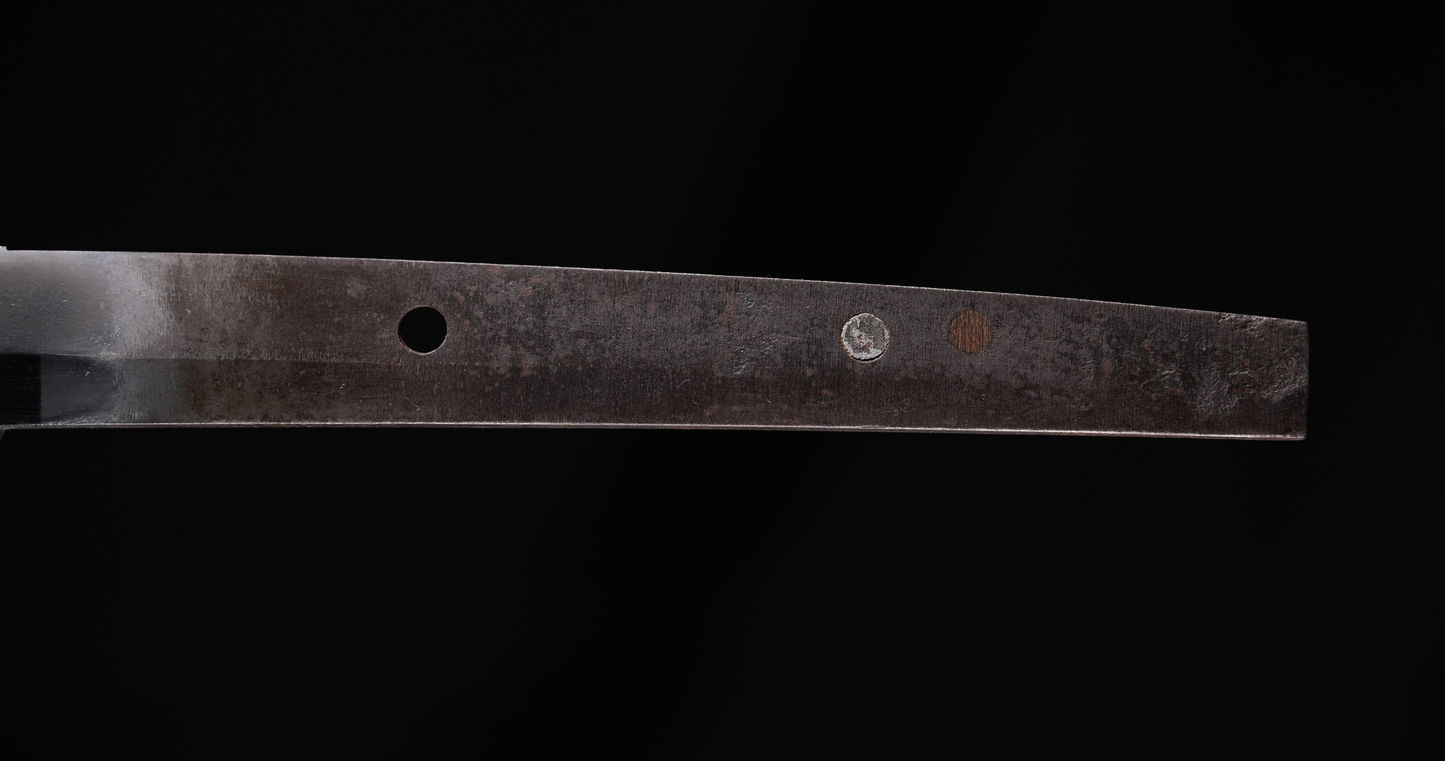 Antique Japanese Sword Katana by Tegai - NBTHK Tokubetsu Hozon