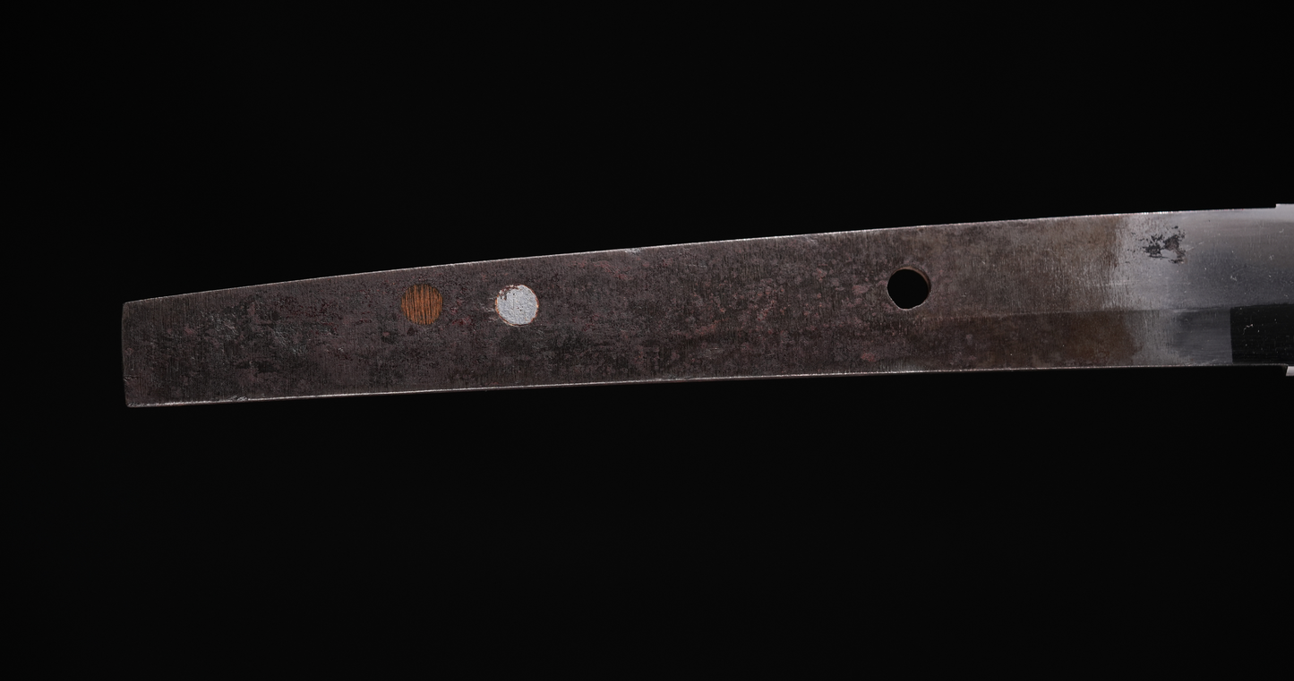 Antique Japanese Sword Katana by Tegai - NBTHK Tokubetsu Hozon