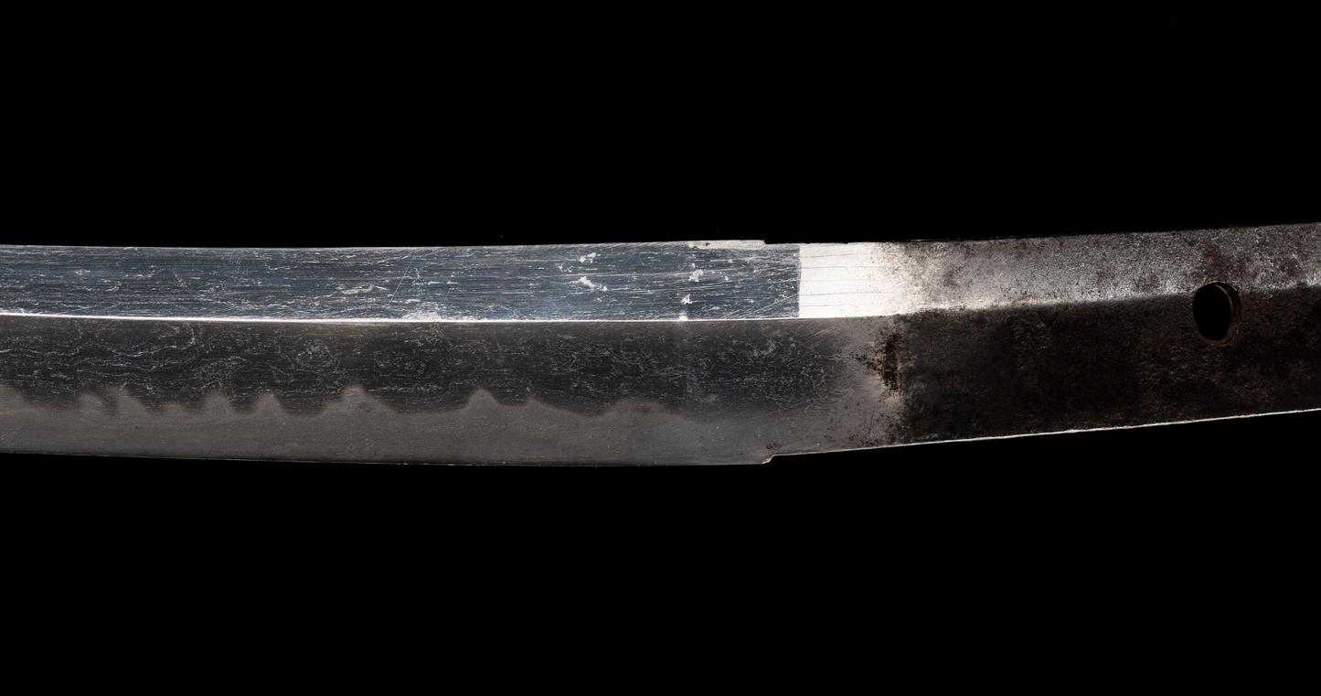 Antique Japanese Sword Wakizashi by Osafune Sukesada with Lion Motif Koshirae - NBTHK Hozon