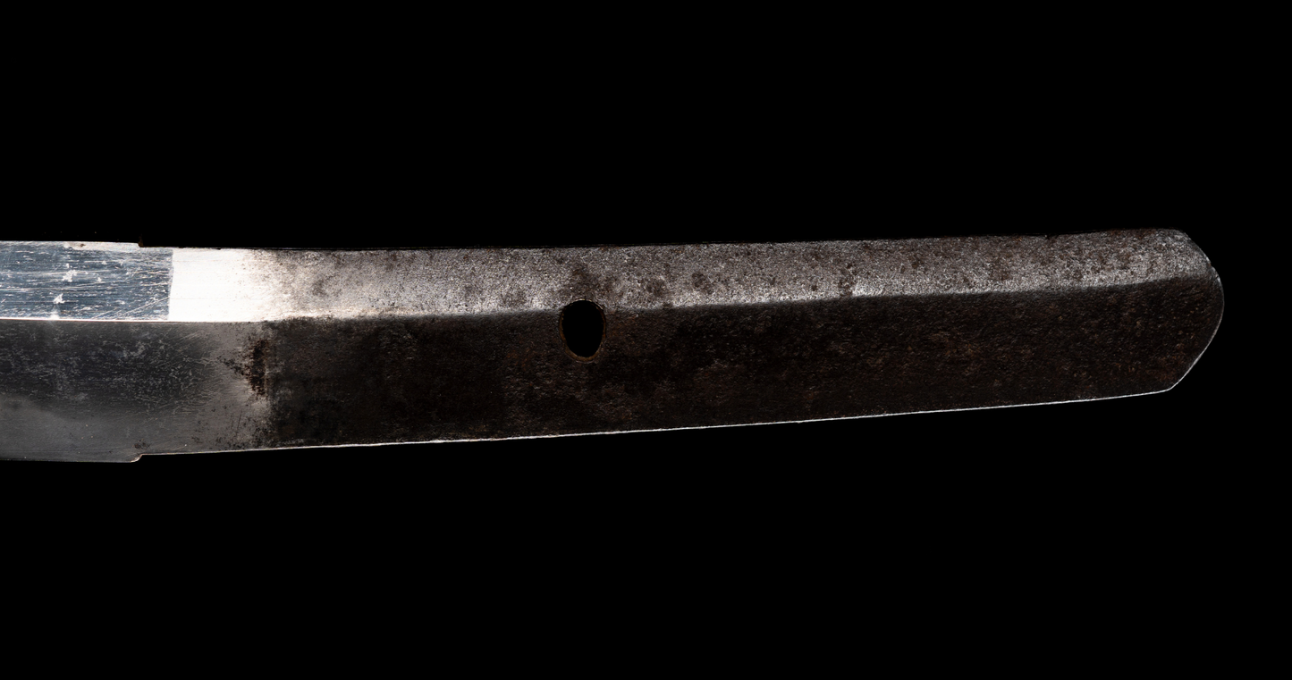 Antique Japanese Sword Wakizashi by Osafune Sukesada with Lion Motif Koshirae - NBTHK Hozon