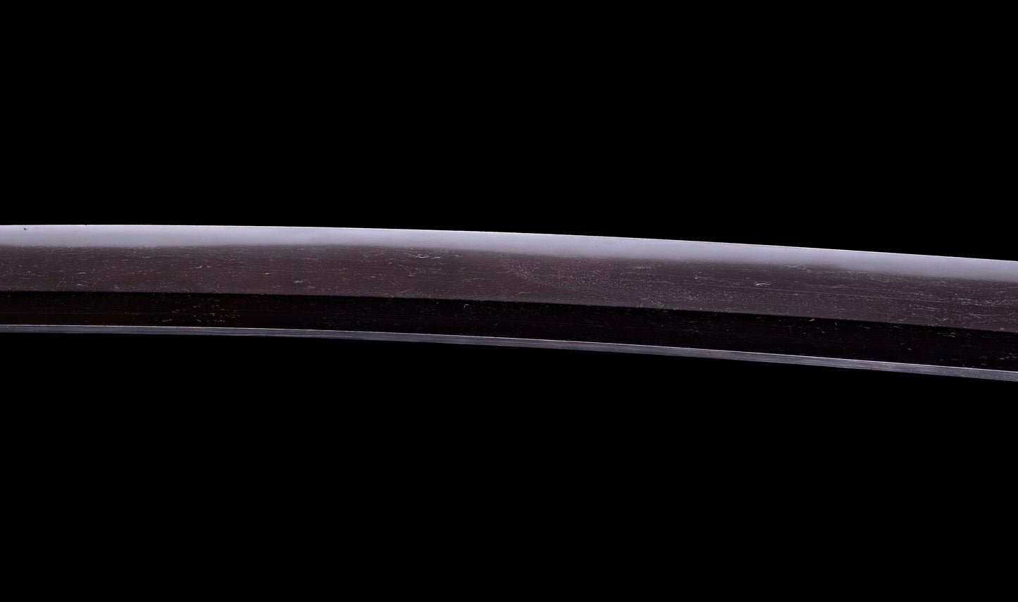 Antique Japanese Katana Sword Ryokai Shigeyoshi - Hozon