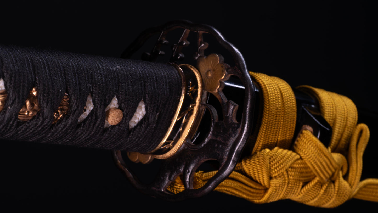 Épée Katana japonaise antique signée Ichiryushi Nagamitsu (Hozon)
