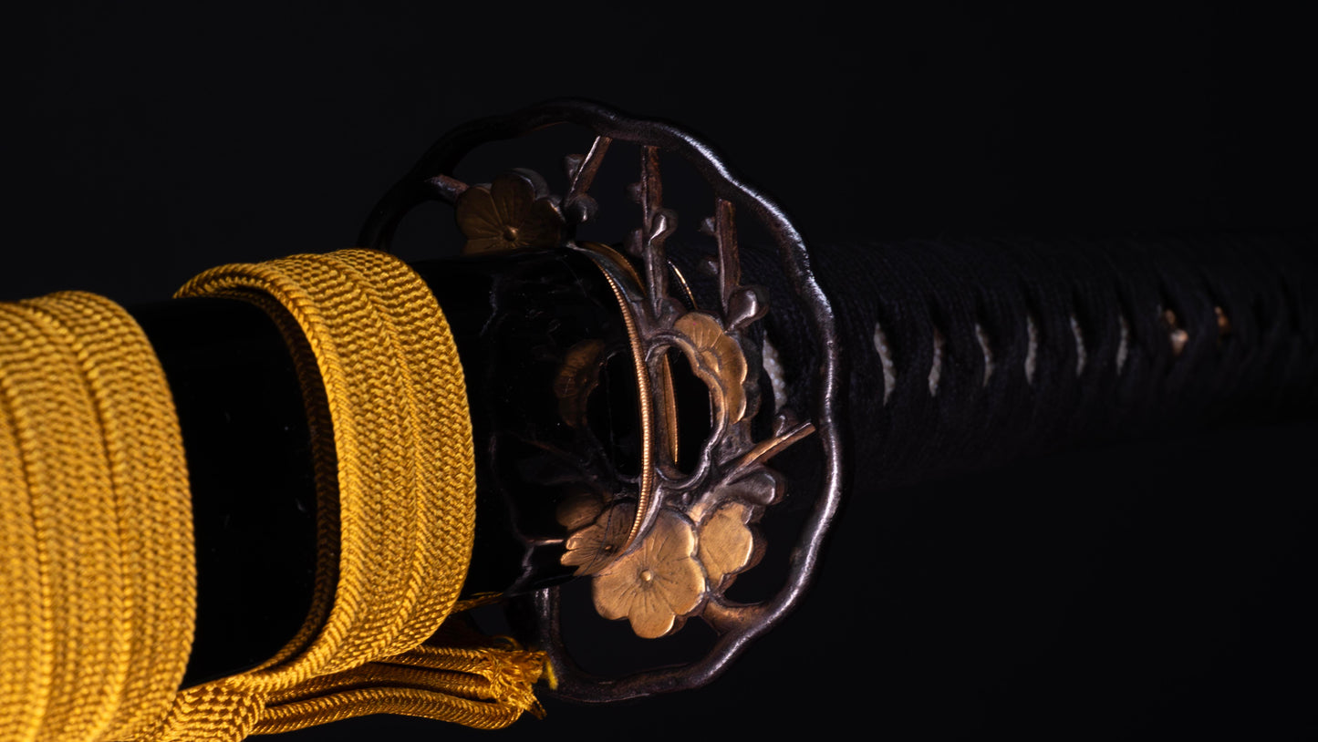 Épée Katana japonaise antique signée Ichiryushi Nagamitsu (Hozon)