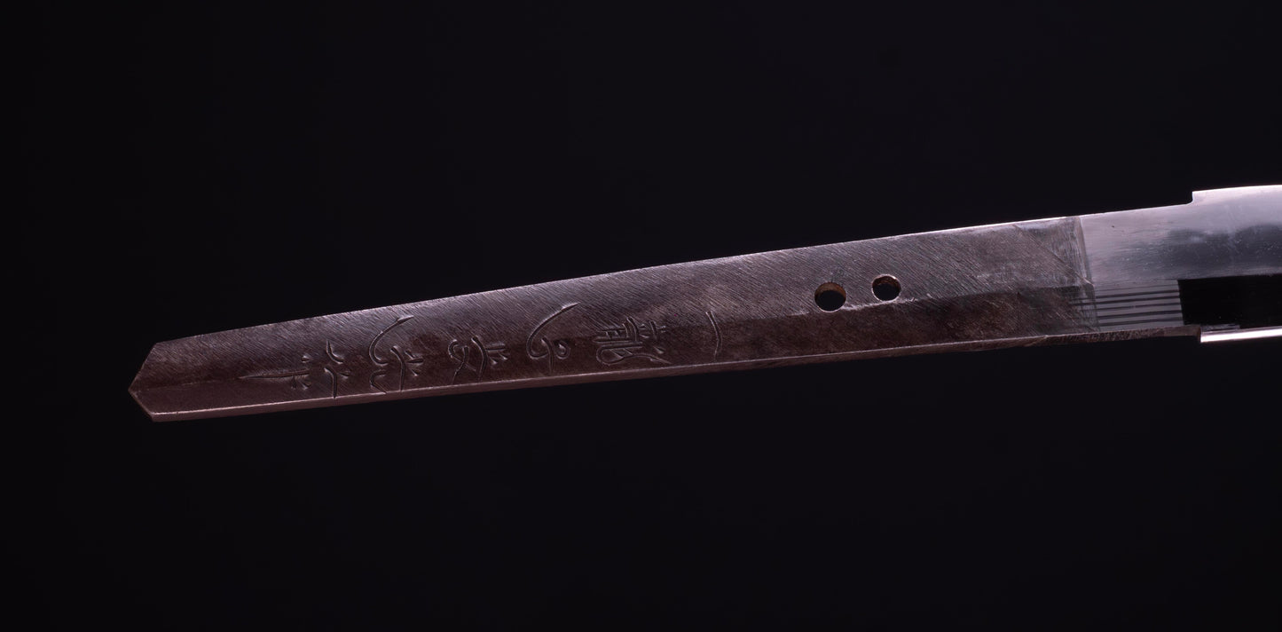 Épée Katana japonaise antique signée Ichiryushi Nagamitsu (Hozon)