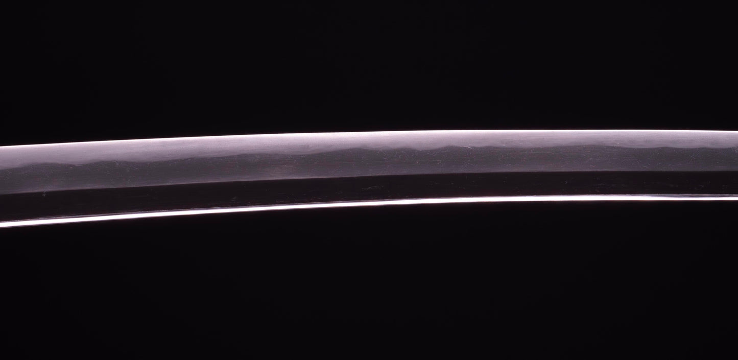 Épée Katana japonaise antique signée Ichiryushi Nagamitsu (Hozon)