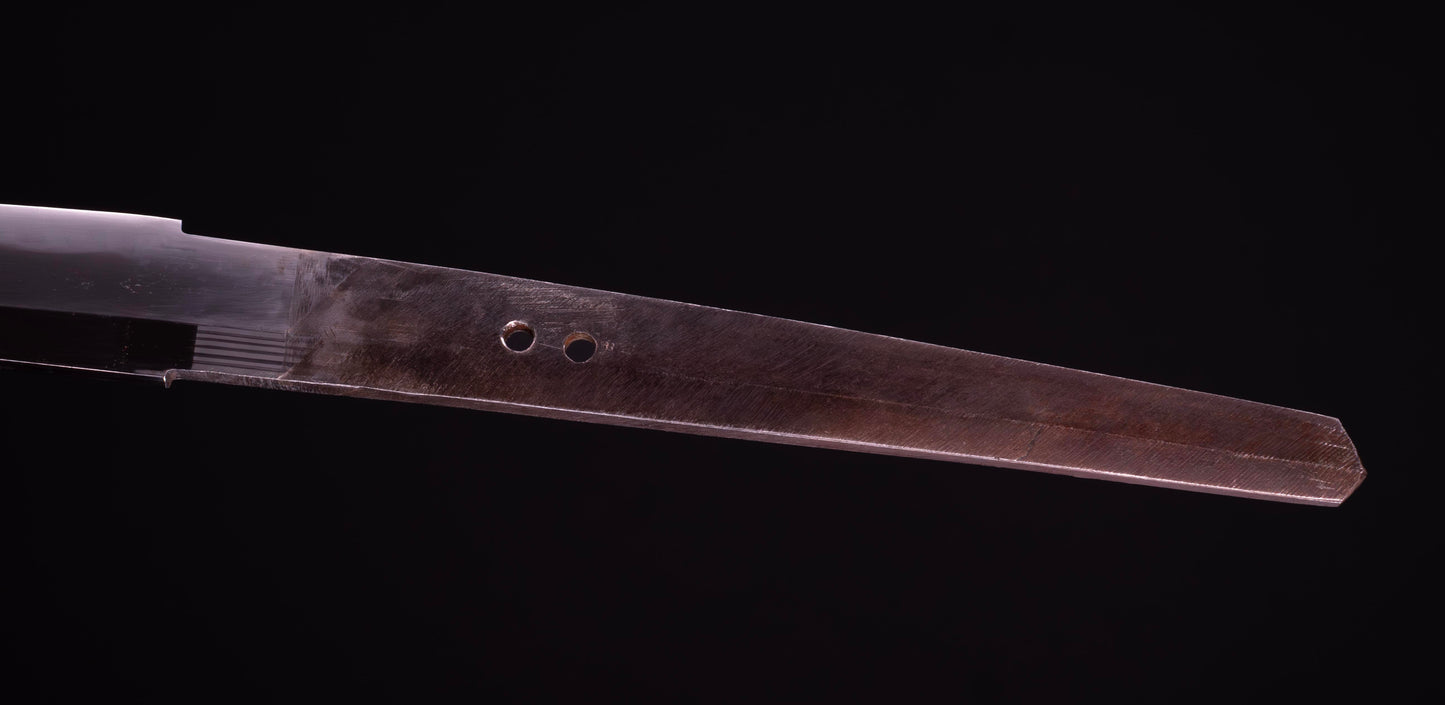 Épée Katana japonaise antique signée Ichiryushi Nagamitsu (Hozon)