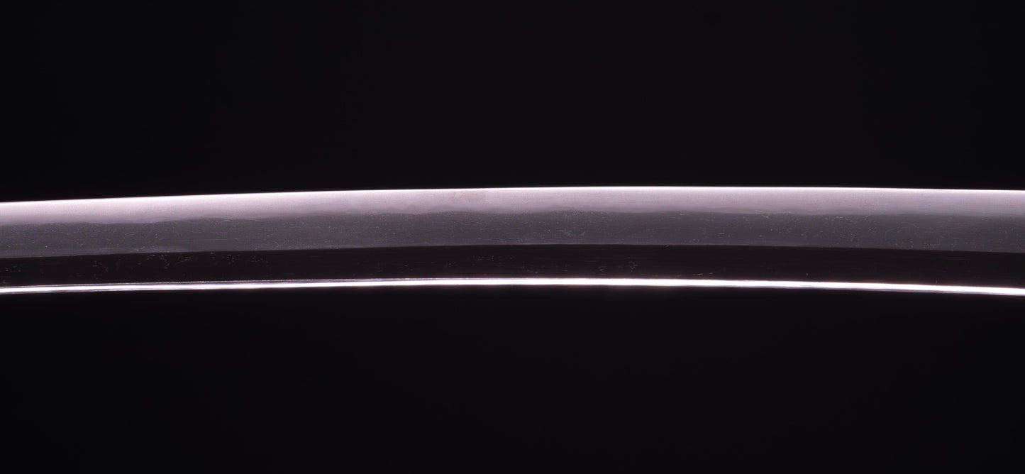 Épée Katana japonaise antique signée Ichiryushi Nagamitsu (Hozon)