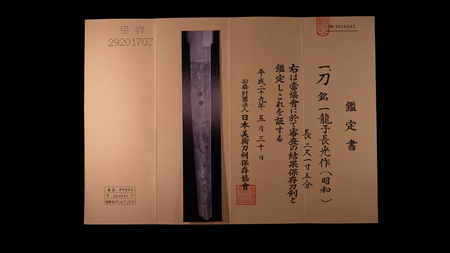 Épée Katana japonaise antique signée Ichiryushi Nagamitsu (Hozon)