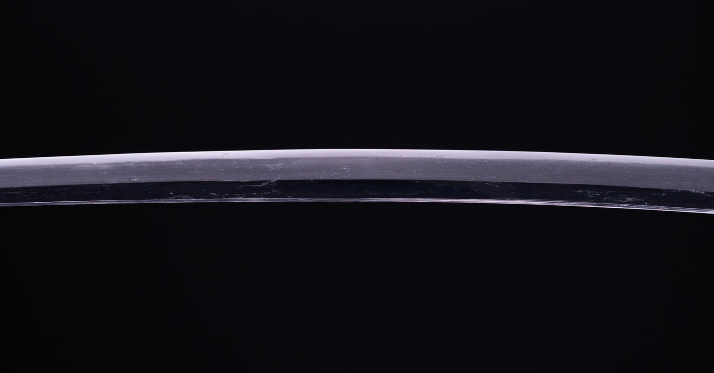 Antique Japanese Katana Sword with Sea Inspired Koshirae