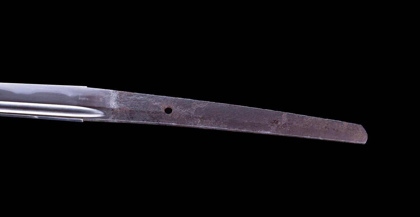Antique Japanese Katana Sword signed Iwagami Sadahiro