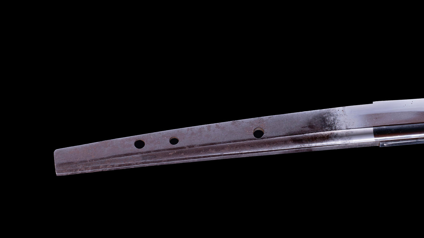 Antique Japanese Daisho - Takada School - Double HOZON