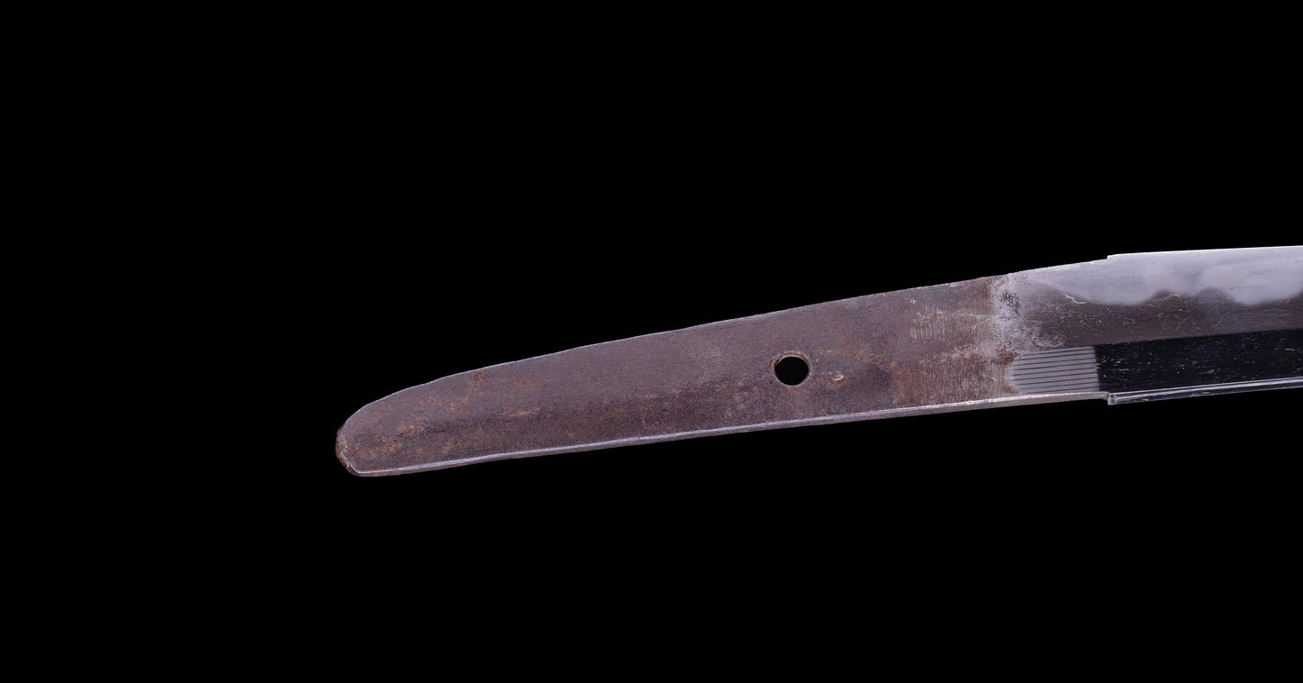 Antique Japanese Daisho - Takada School - Double HOZON