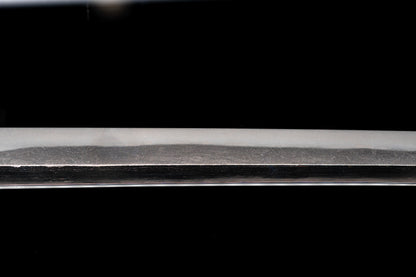 Antique Japanese Sword Wakizashi by Omi no Kami Fujiwara Tsuguhiro - NBTHK Tokubetsu Hozon