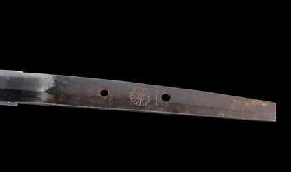 Antique Japanese Katana by Tango no Kami Fujiwara Kanemichi with Imperial Kikumon, Suguha Hamon and Gold-Inlaid Tsuba - NBTHK Hozon