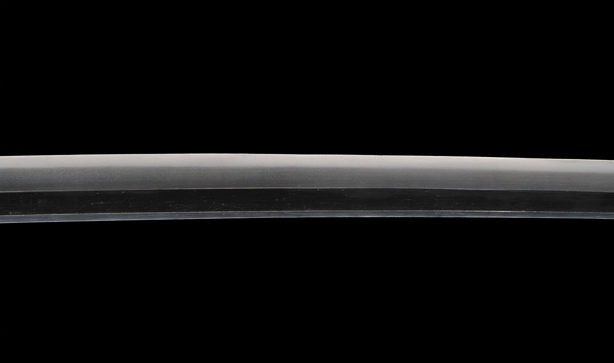 Antique Japanese Katana by Tango no Kami Fujiwara Kanemichi with Imperial Kikumon, Suguha Hamon and Gold-Inlaid Tsuba - NBTHK Hozon
