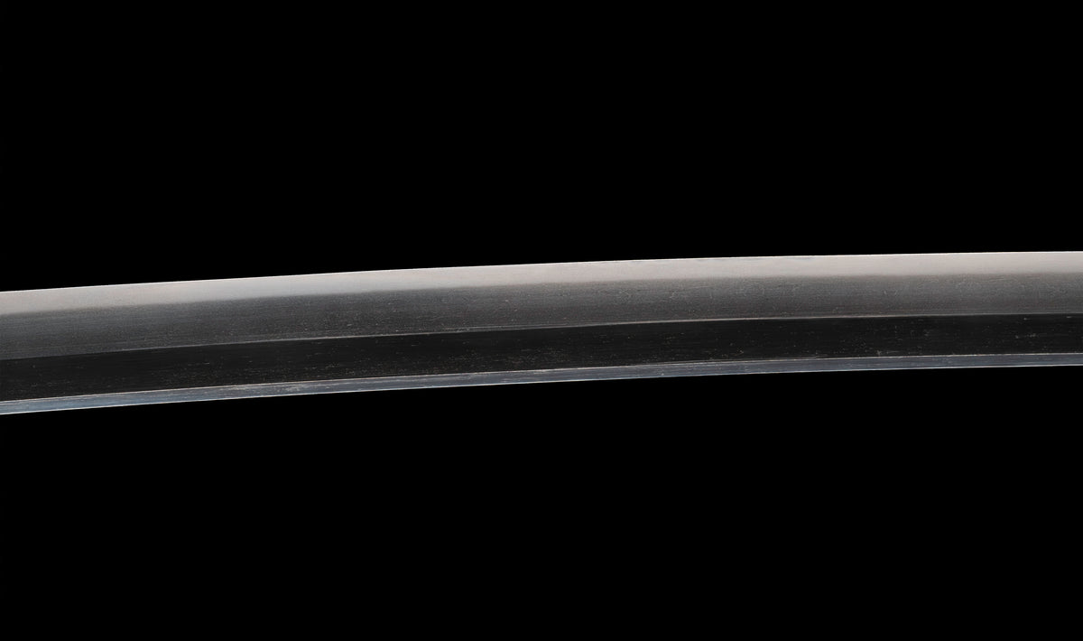 Antique Japanese Katana by Tango no Kami Fujiwara Kanemichi with Imperial Kikumon, Suguha Hamon and Gold-Inlaid Tsuba - NBTHK Hozon