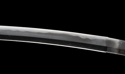 Antique Japanese Katana Sword attributed to Kashū Ietsugu with Notare-Gunome Hamon and Plum Blossom Sukashi Tsuba - NBTHK Hozon