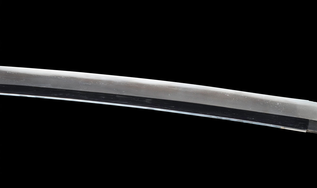 Antiker japanischer katana aus der Muromachi-Epoche, Kaifu zugeschrieben, mit durchbrochenem Eisen-Sukashi tsuba und Shakudō-Figuren fuchi-kashira - NBTHK Hozon