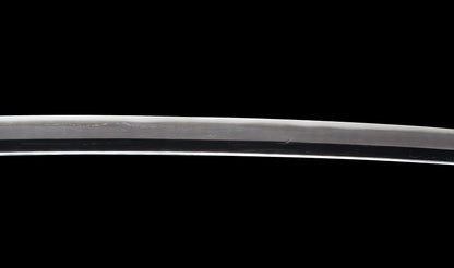 Antiker japanischer katana aus der Muromachi-Epoche, Kaifu zugeschrieben, mit durchbrochenem Eisen-Sukashi tsuba und Shakudō-Figuren fuchi-kashira - NBTHK Hozon