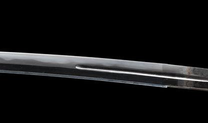 Antiker japanischer katana mit notare-gunome hamon, vergoldeten Drachenfiguren-menuki und roter Lackierter saya — Edo-Periode