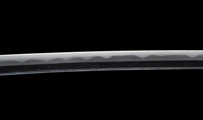 Antiker japanischer katana mit notare-gunome hamon, vergoldeten Drachenfiguren-menuki und roter Lackierter saya — Edo-Periode