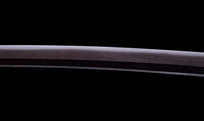 Antique Japanese Katana Sword Ryokai Shigeyoshi - Hozon