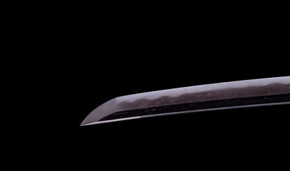 Antique Japanese Katana Sword Ryokai Shigeyoshi - Hozon