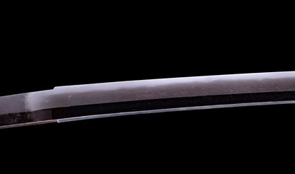 Antique Japanese Katana Sword Ryokai Shigeyoshi - Hozon