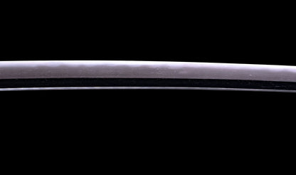 Antique Japanese Katana Sword Ryokai Shigeyoshi - Hozon