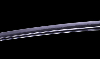 Antique Japanese Katana Sword, Late Edo Shishi Koshirae