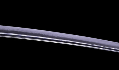 Antique Japanese Katana Sword, Late Edo Shishi Koshirae