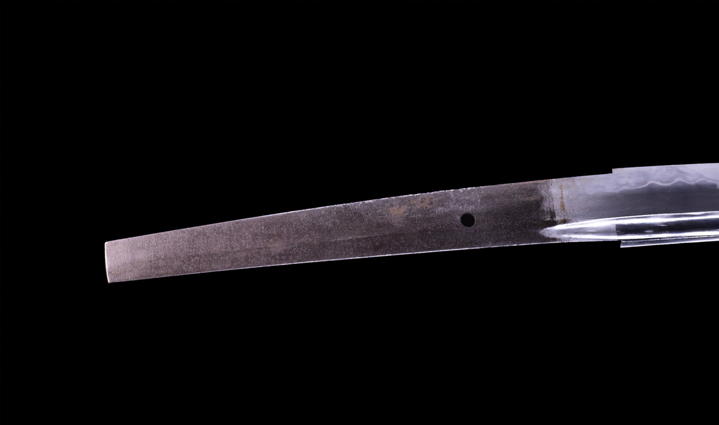 Antique Japanese Katana Sword, Late Edo Shishi Koshirae