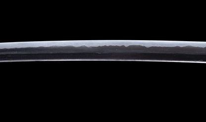 Antique Japanese Katana Sword with Tombo Dragonfly Menuki & Sansui Landscape Tsuba