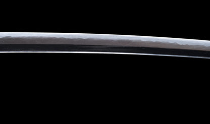 Antique Japanese Katana Sword with Tombo Dragonfly Menuki & Sansui Landscape Tsuba