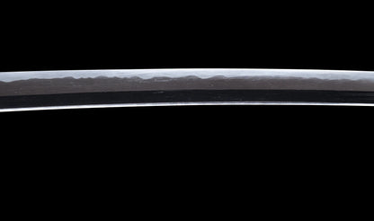 Antique Japanese Katana Sword with Tombo Dragonfly Menuki & Sansui Landscape Tsuba