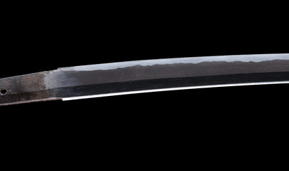 Antique Japanese Katana Sword with Tombo Dragonfly Menuki & Sansui Landscape Tsuba