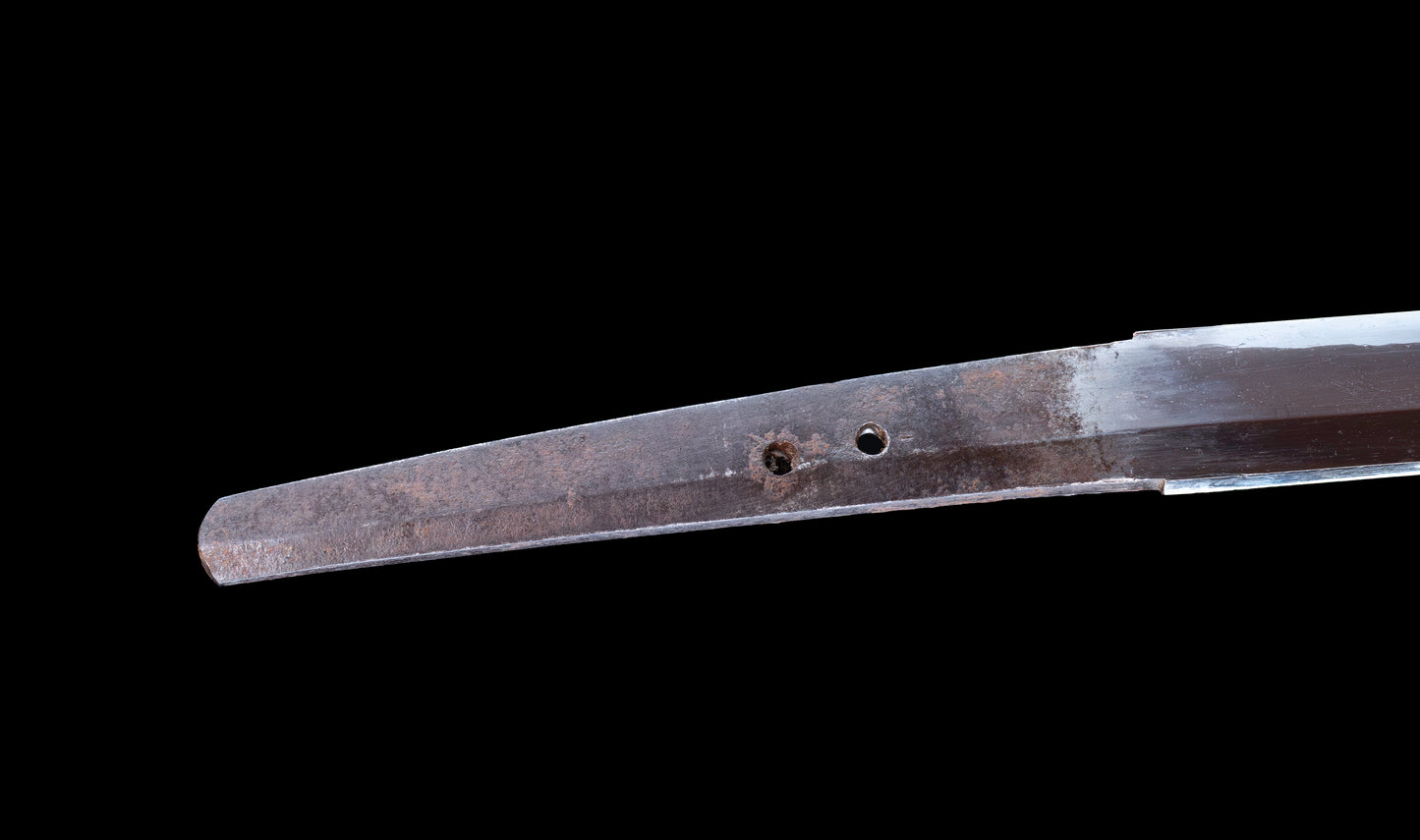 Antique Japanese Katana Sword with Tombo Dragonfly Menuki & Sansui Landscape Tsuba