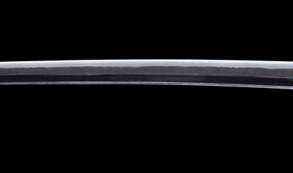 Katana japonesa antigua firmada Kojima Katsumasa con tsuba de hierro tipo paisaje