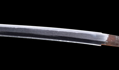Katana japonesa antigua firmada Kojima Katsumasa con tsuba de hierro tipo paisaje