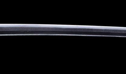 Katana japonesa antigua firmada Kojima Katsumasa con tsuba de hierro tipo paisaje