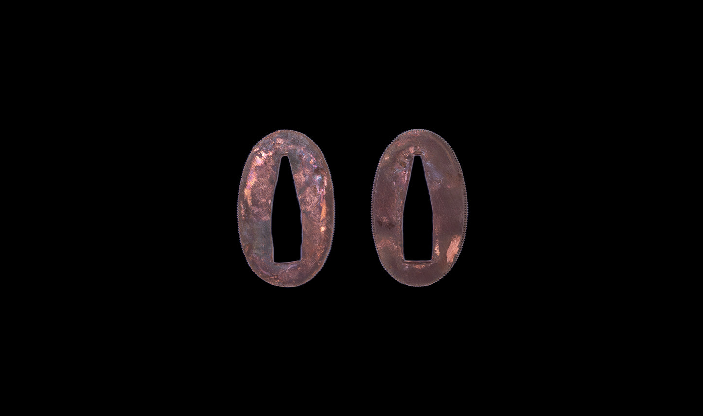 Katana japonesa antigua, tsuba Ave acuática firmado Awataguchi