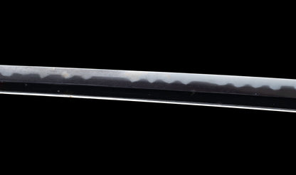 Katana japonesa antigua, tsuba Ave acuática firmado Awataguchi