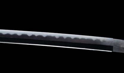 Katana japonesa antigua, tsuba Ave acuática firmado Awataguchi
