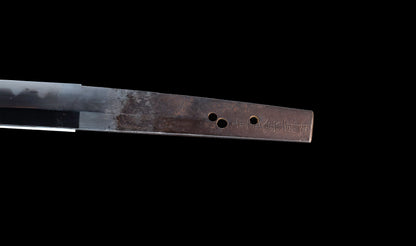 Katana japonesa antigua, tsuba Ave acuática firmado Awataguchi