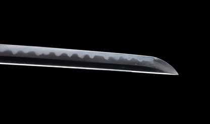 Katana japonesa antigua, tsuba Ave acuática firmado Awataguchi