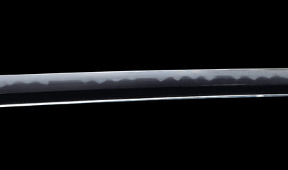 Katana japonesa antigua, tsuba Ave acuática firmado Awataguchi