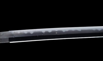 Katana japonesa antigua, tsuba Ave acuática firmado Awataguchi